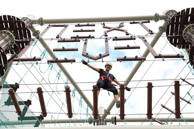 Sunshine Coast High Ropes Course - An In-Depth Look at the Sunshine Coast High Ropes Course