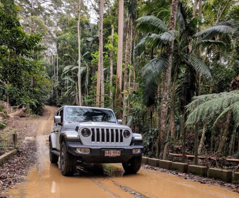 Sunshine Coast: Hinterland Adventure Private 4WD Jeep Tour - Key Points