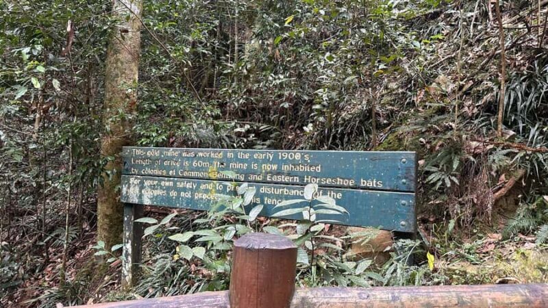 Sunshine Coast: Hinterland Adventure Private 4WD Jeep Tour - Final Thoughts