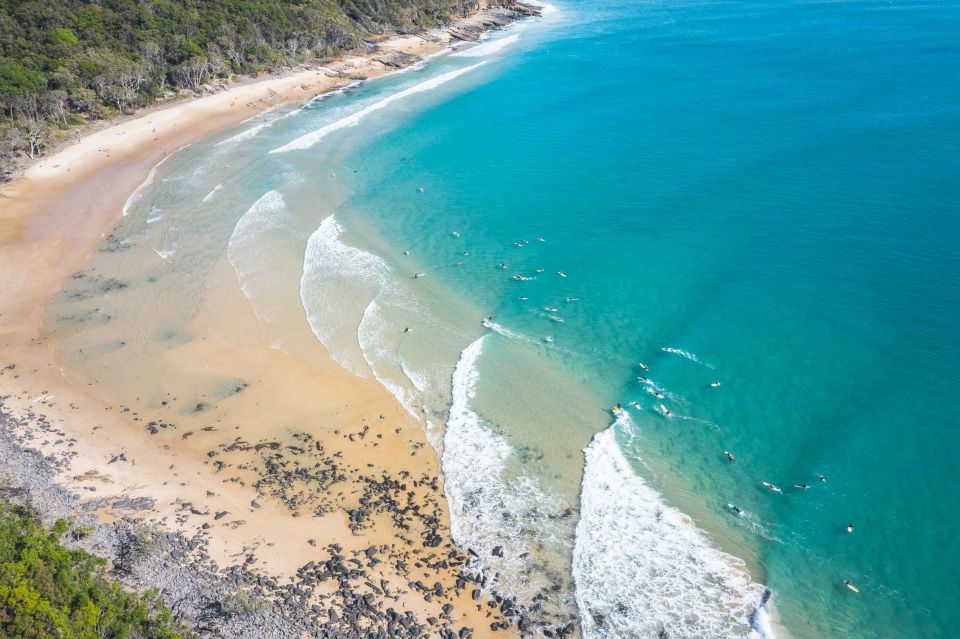 Sunshine Coast Hinterland and Noosa Small Group Tour - Booking Information