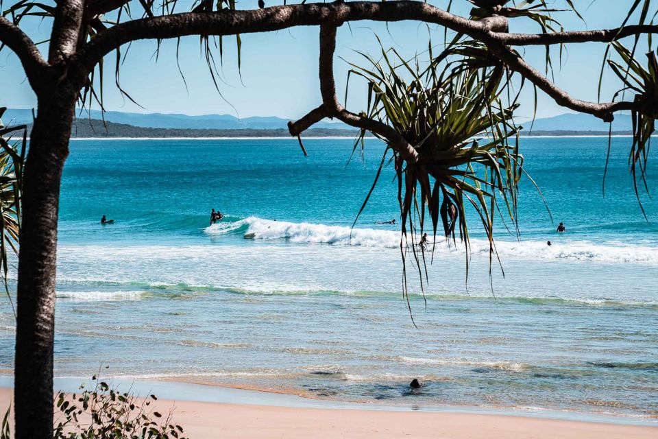 Sunshine Coast Hinterland and Noosa Small Group Tour - Frequently Asked Questions