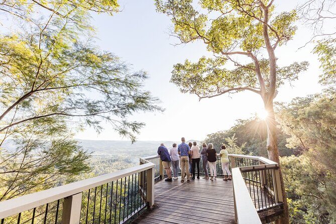 Sunshine Coast Hinterland Scenic Culinary Experience: Montville - A Practical Breakdown of the Tour