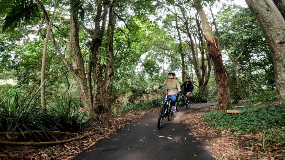 Sunshine Coast: Maleny Magic Guided E-Bike Tour - Tour Details