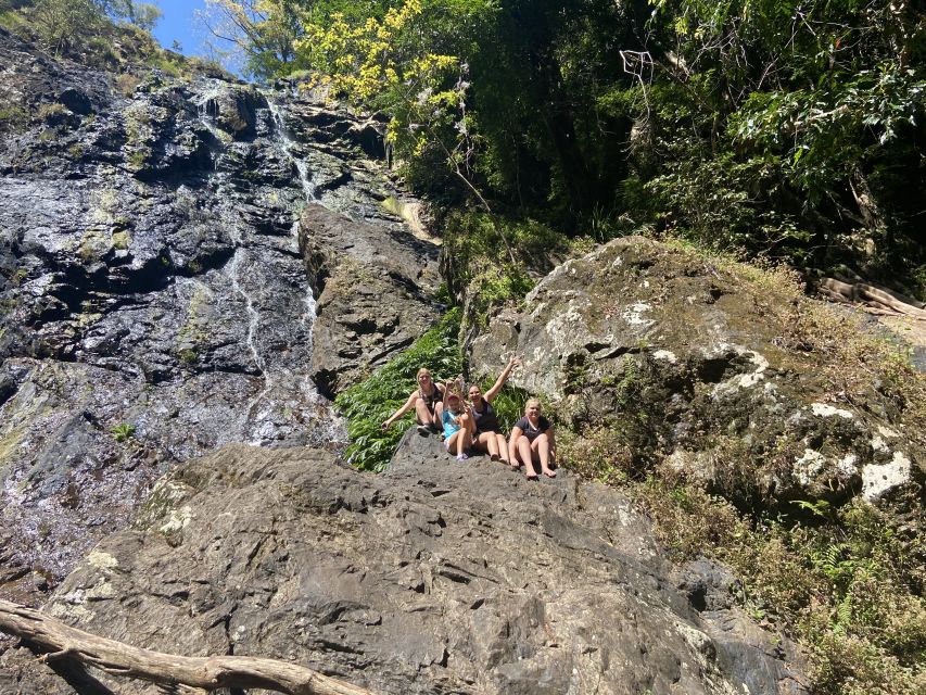 Sunshine Coast: Maleny Village and Kondalilla Falls Tour - Tour Highlights