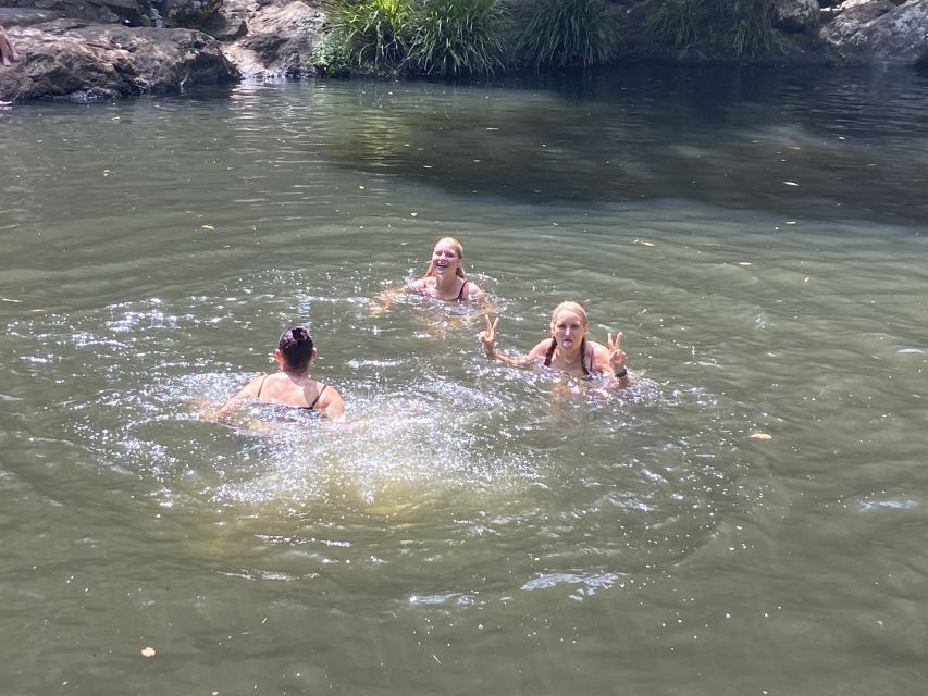 Sunshine Coast: Maleny Village and Kondalilla Falls Tour - Full Tour Description