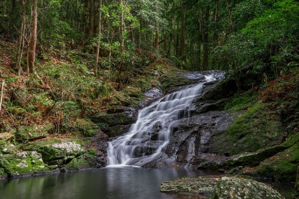 Sunshine Coast: Maleny Village and Kondalilla Falls Tour - What to Bring on the Tour