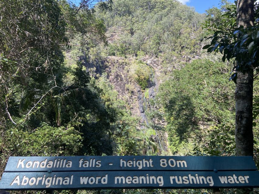 Sunshine Coast: Maleny Village and Kondalilla Falls Tour - Tour Thank You Message