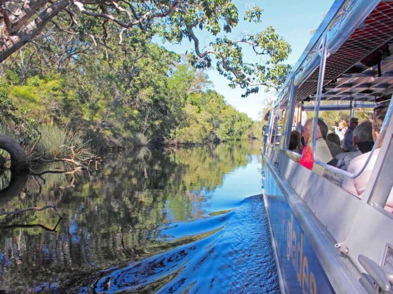 Sunshine Coast: Noosa Everglades, Hinterland & Boat Cruise - Why This Tour Is a Great Choice