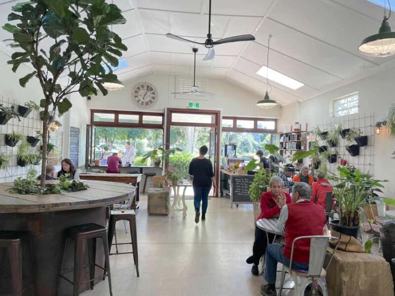 Sunshine Coast: Noosa Everglades, Hinterland & Boat Cruise - Final Thoughts