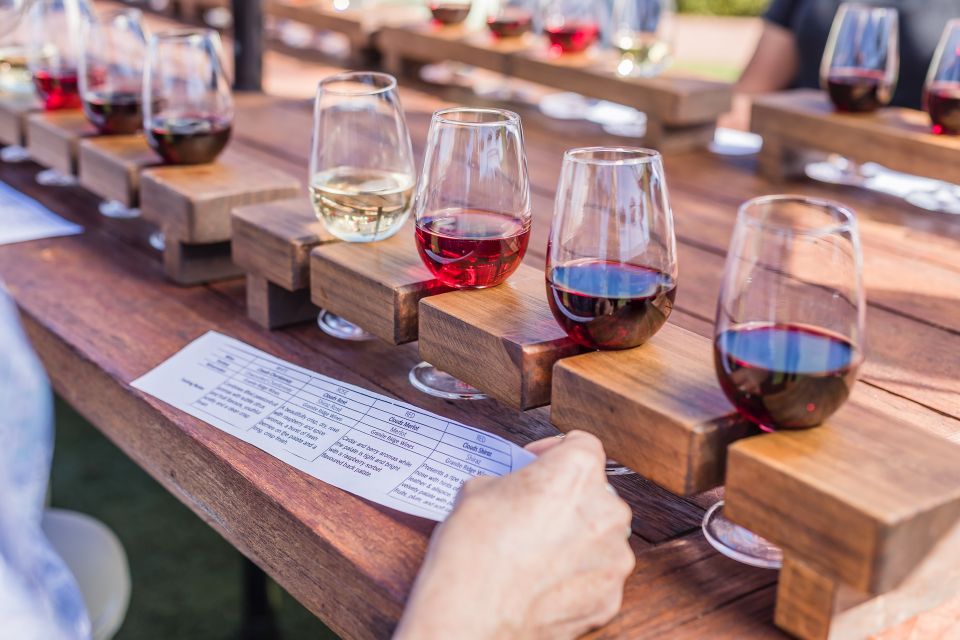 Sunshine Coast & Noosa Scenic Food & Wine Tour With Tastings - Key Points