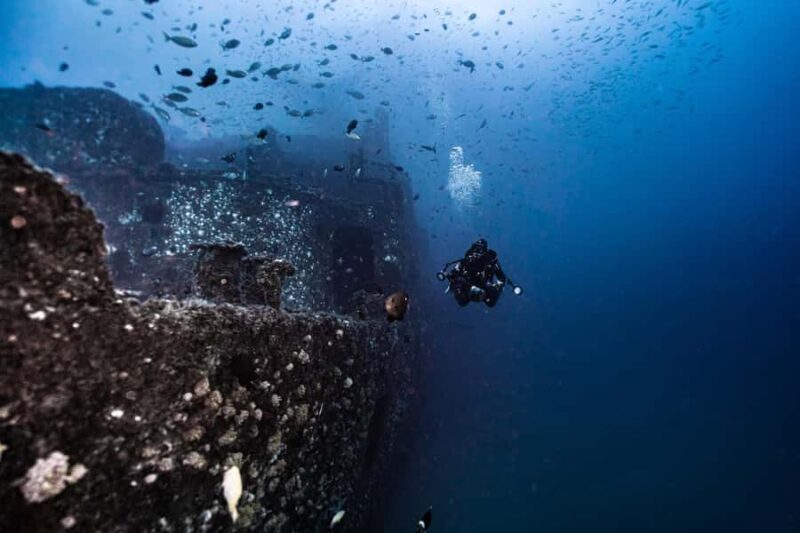 Sunshine Coast: Scuba Dive the Ex-HMAS Brisbane Ship Wreck - What to Expect During the Dives
