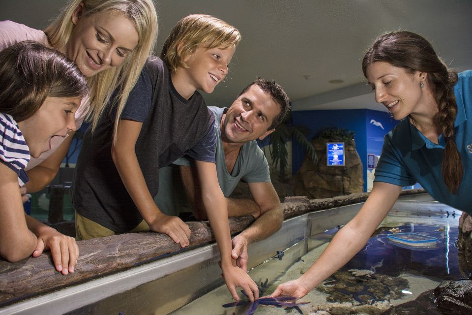 Sunshine Coast: SEA LIFE Sunshine Coast Entry Ticket - Highlights of the Experience