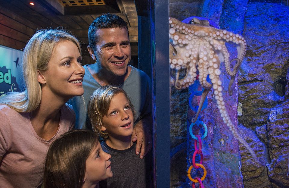 Sunshine Coast: SEA LIFE Sunshine Coast Entry Ticket - Directions to the Venue