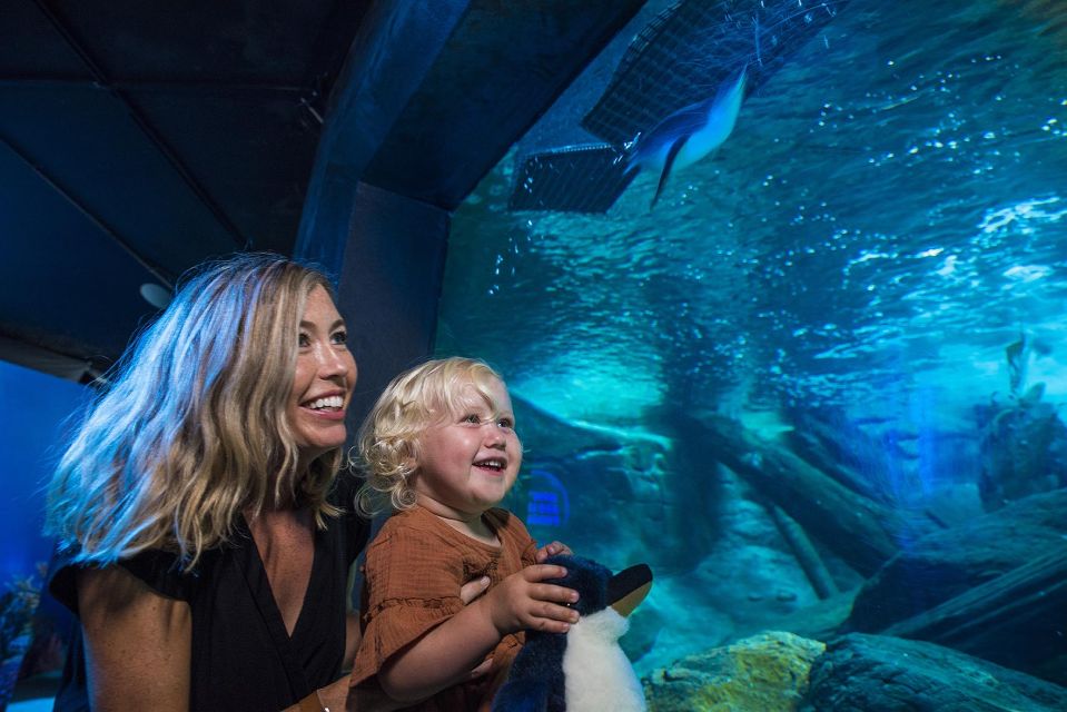 Sunshine Coast: SEA LIFE Sunshine Coast Entry Ticket - Visitor Tips and Important Information