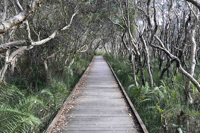 Sunshine Coast Seaside Explorer Private Tour with Lunch - Final Stop: Twin Waters and Lakeside Relaxation
