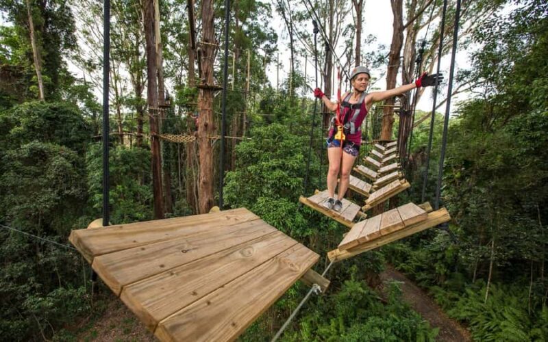 Sunshine Coast: Treetop Challenge Adventure Park - Key Points