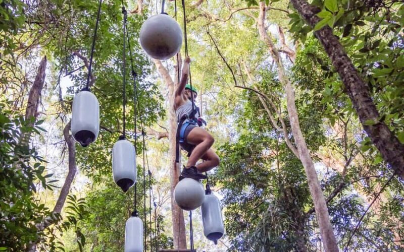 Sunshine Coast: Treetop Challenge Adventure Park - Final Thoughts: Is It Worth It?