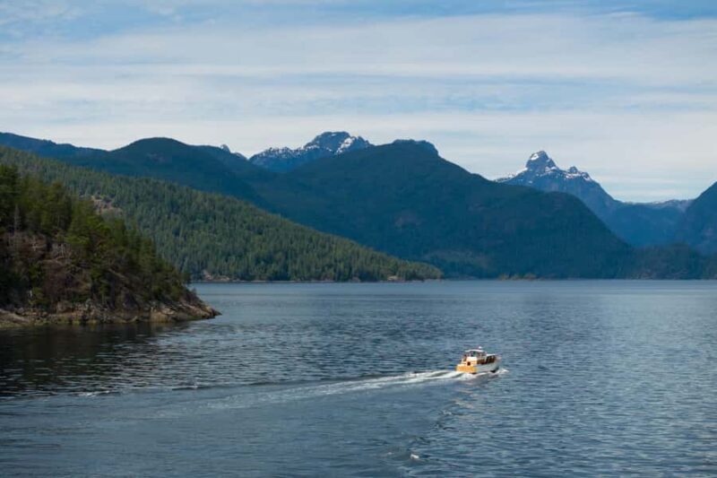 Sunshine Coast: Vintage Boat Tour with Wildlife Viewing - Exploring the Sunshine Coast from the Water