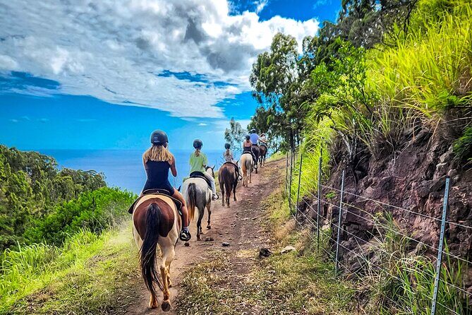Sunshine Mountain Vista Horseback Trail Ride on Oahu - Why the Views Matter