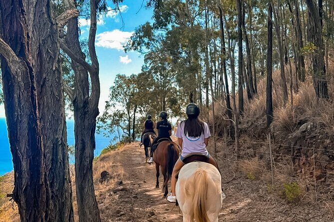 Sunshine Mountain Vista Horseback Trail Ride on Oahu - Accessibility and Practical Tips