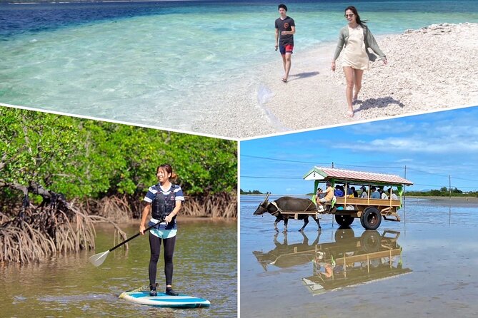 SUP/Canoe & Landing on Coral Island & Sightseeing in Yubujima - Safety Precautions
