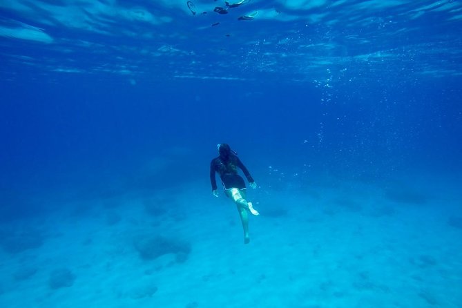 SUP & Snorkel Adventure Rhodes - Logistics