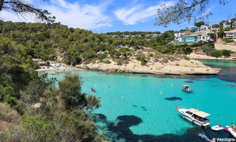 SUP & Snorkel Experience: Beach / Cave of Portal Vells - Key Points