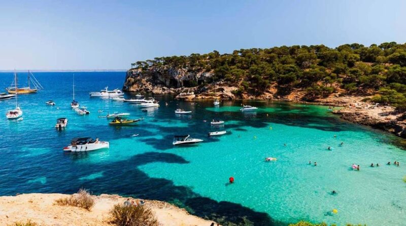SUP & Snorkel Experience: Beach / Cave of Portal Vells - Experience Highlights