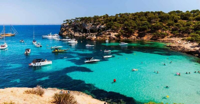 SUP & Snorkel Experience: Beach / Cave of Portal Vells - Activity Details