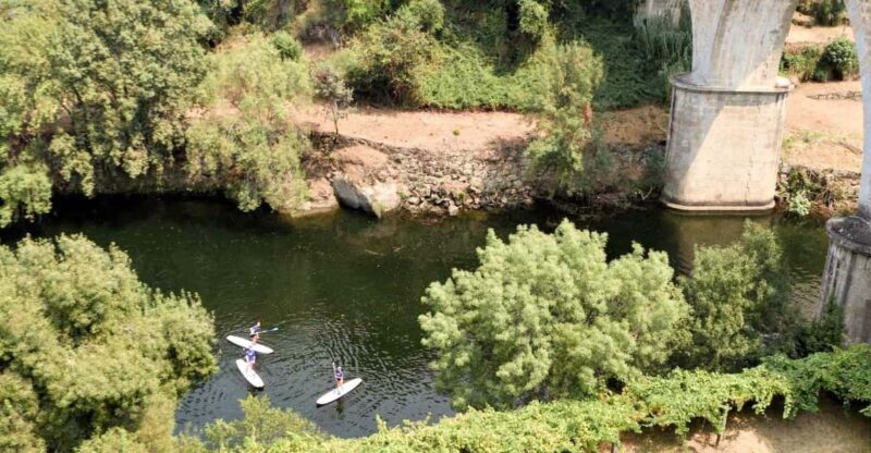 SUP TOUR - Explore Porto´s surroundings on a SUP Board - Key Points