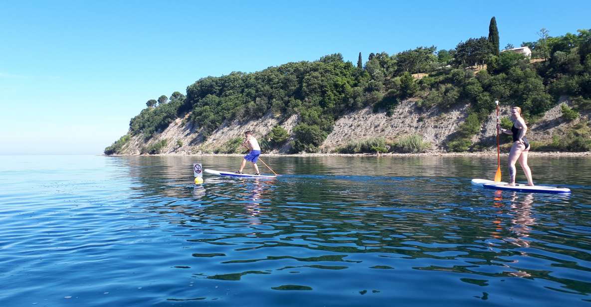 SUP Tour: Exploring Debeli Rtic Coastline - Tour Highlights and Inclusions