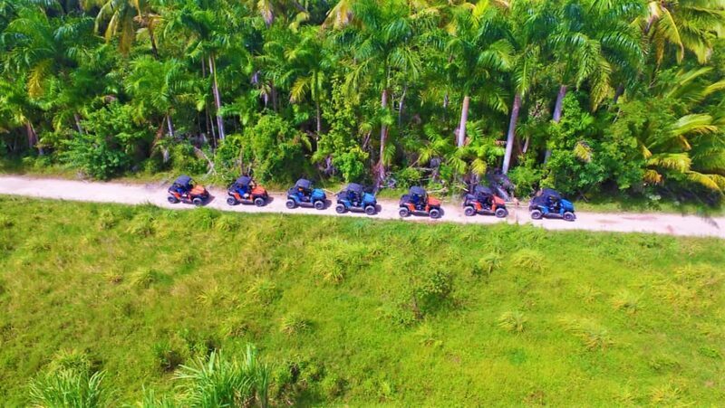 Super Buggy Tour in Puerto Plata Shore/hotel + Lunch - Authenticity and Traveler Feedback