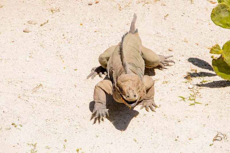 Super Combo Full Day Tour - Final Thoughts