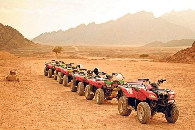 Super Safari Hurghada - What to Expect During the Tour