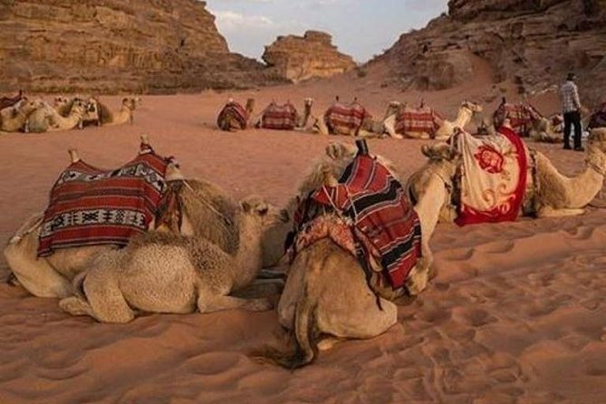 Super Safari Hurghada - Tips for a Great Experience