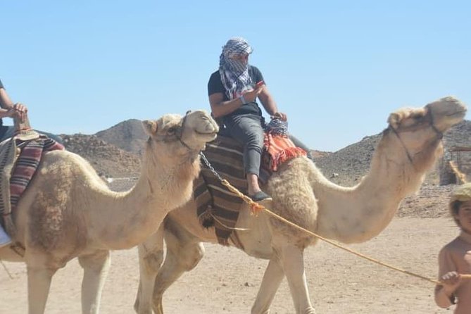 Super Safari: Jeep, Buggy, Quad With Lunch and Show in Hurghada - Tips for a Great Experience