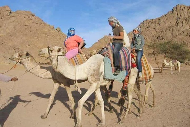 Super Safari Quad Bike, Camel Ride & Bedouin Diner in Hurghada - Accessibility Details
