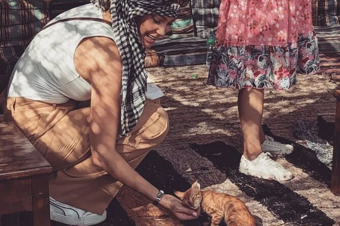 Super Safari : Quad, Buggy Car, Jeep, Dinner & Show in Hurghada - Activity Highlights