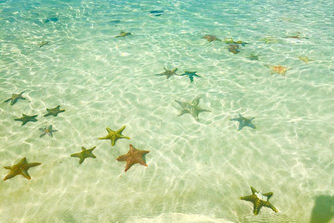 Super Zanzi (3-IN-1): Prison, Vanishing Island & Stone Town - Zanzibar - Final Thoughts on the Tour