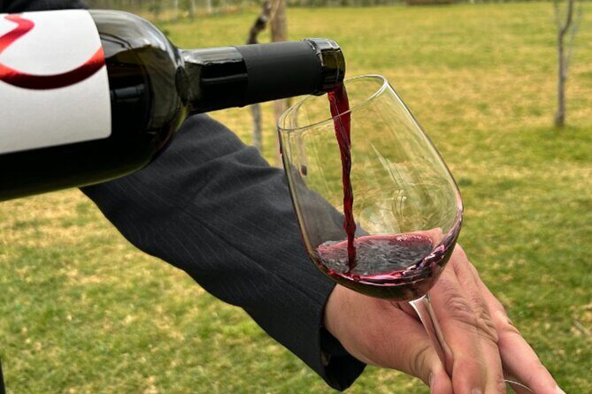 Superior Wine Tasting with Lunch on the slopes of Mt. Vesuvius - Key Points