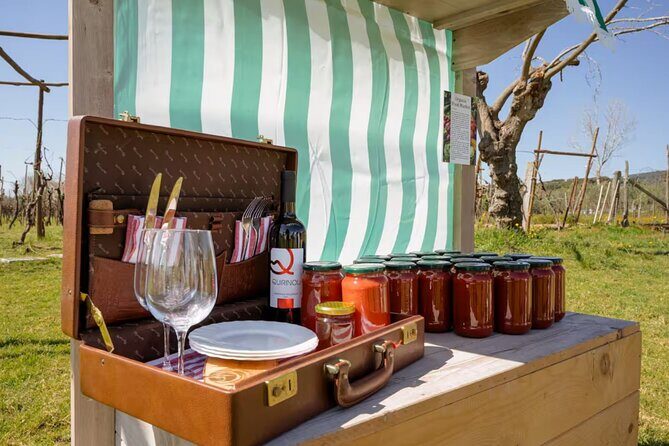 Superior Wine Tasting with Lunch on the slopes of Mt. Vesuvius - Who Should Consider This Tour?