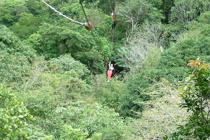Superman Zipline Course - Inclusion and What to Expect