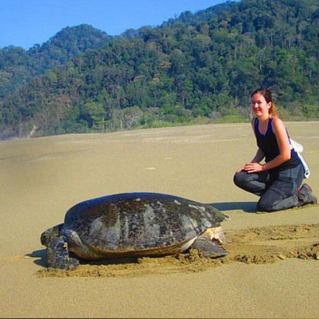 Surabaya: 4 Days Mt Bromo Ijen & Sukamade Turtle Drop Bali - Key Points