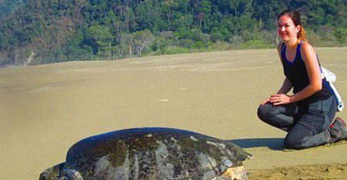 Surabaya: 4 Days Mt Bromo Ijen & Sukamade Turtle Drop Bali - Included in the Tour