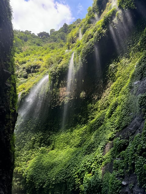 Surabaya: Bromo Sunrise & Madakaripura Waterfalls 1 Day Tour - Activities