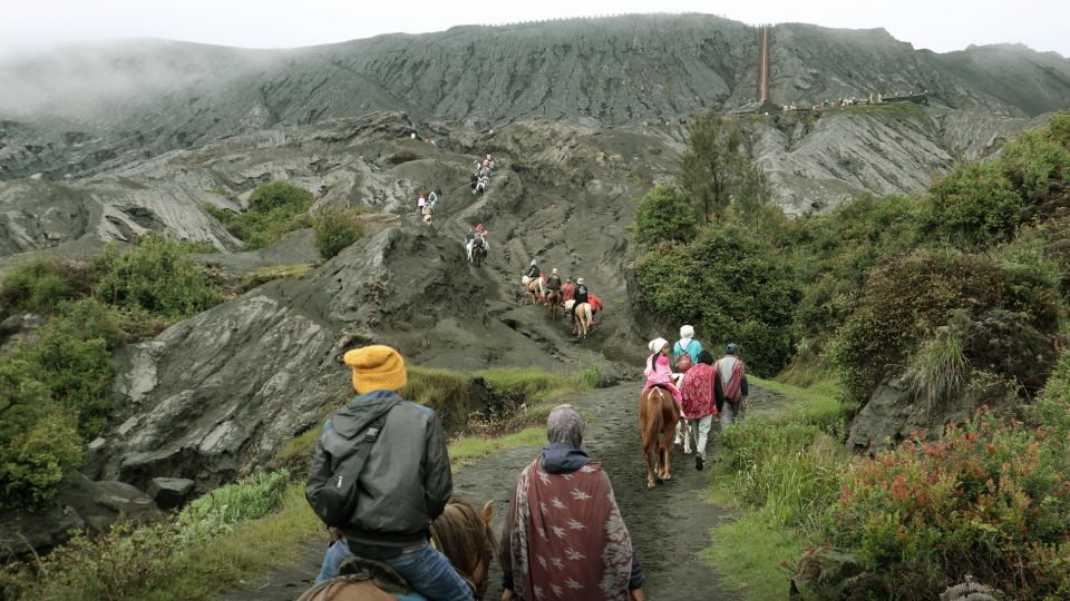 Surabaya / Malang: 2 Days Bromo Camping Tour (All Spots) - Included Amenities