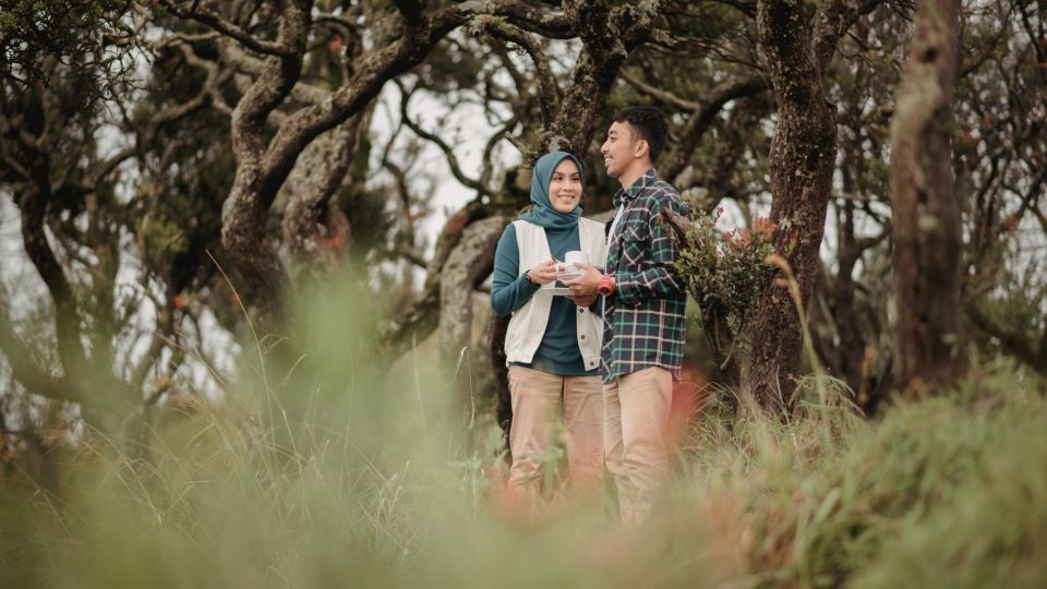 Surabaya / Malang: Bromo Afternoon Ultimate Tour - Important Information