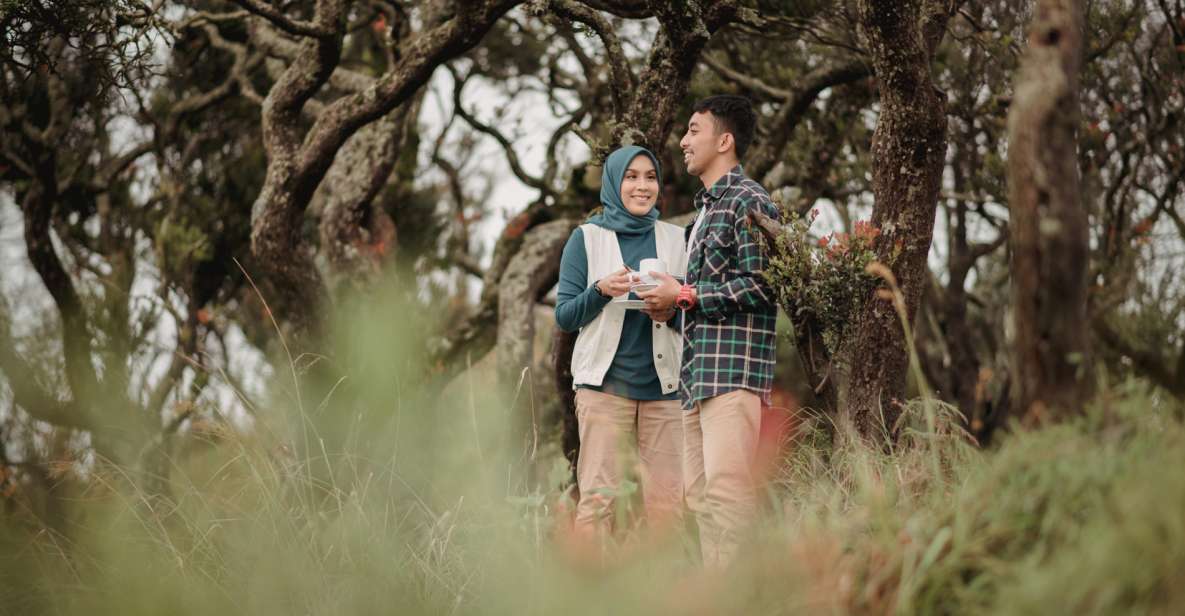 Surabaya / Malang: Bromo Sunrise, Ijen, Bali 2 Days Tour - Highlights of the Tour