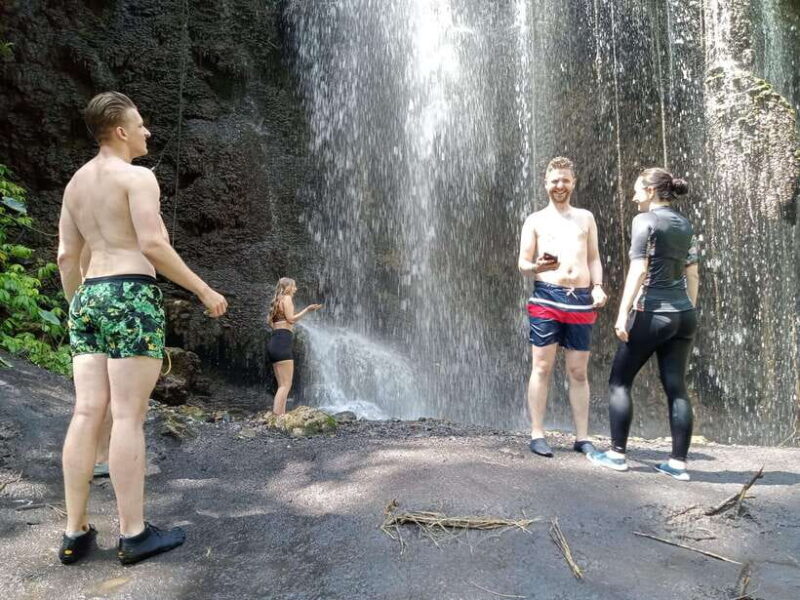 Surabaya OR Malang: Tumpak Sewu Waterfall Share Guided Tour - Introduction