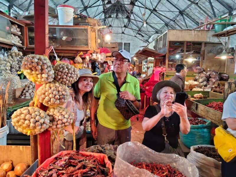 Surabaya Private Tour With Lunch - Accessibility and Flexibility